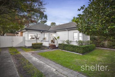 Real Estate Agents Box Hill